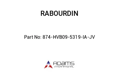874-HVB09-5319-IA-JV