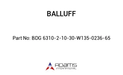 BDG 6310-2-10-30-W135-0236-65									