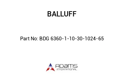BDG 6360-1-10-30-1024-65									