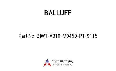 BIW1-A310-M0450-P1-S115									